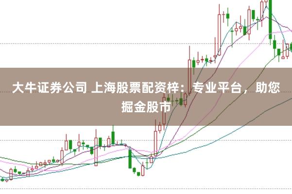 大牛证券公司 上海股票配资梓：专业平台，助您掘金股市
