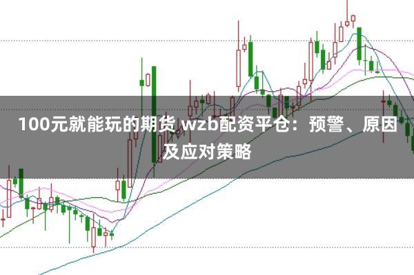 100元就能玩的期货 wzb配资平仓：预警、原因及应对策略
