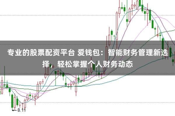专业的股票配资平台 爱钱包:智能财务管理新选择,轻松掌握个人财务动态