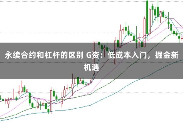 永续合约和杠杆的区别 G资:低成本入门,掘金新机遇
